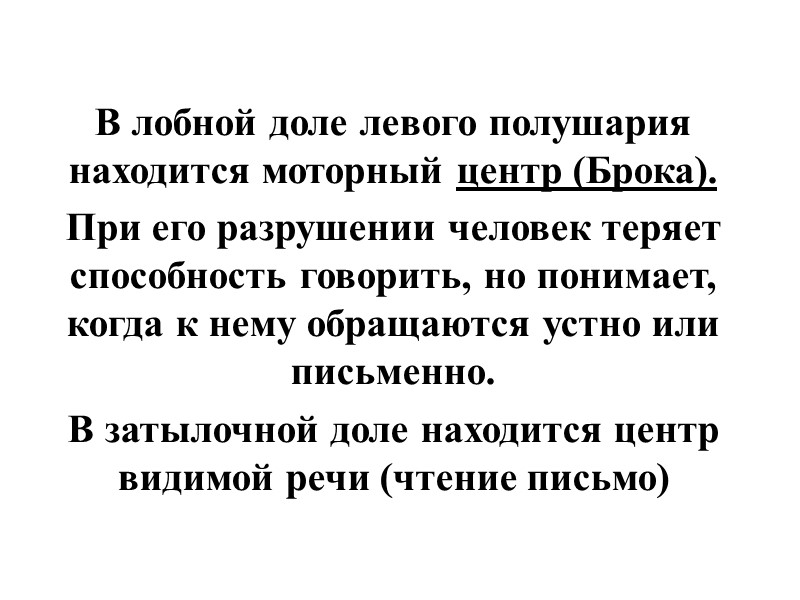 В лобной доле левого полушария находится моторный центр (Брока). При его разрушении человек теряет